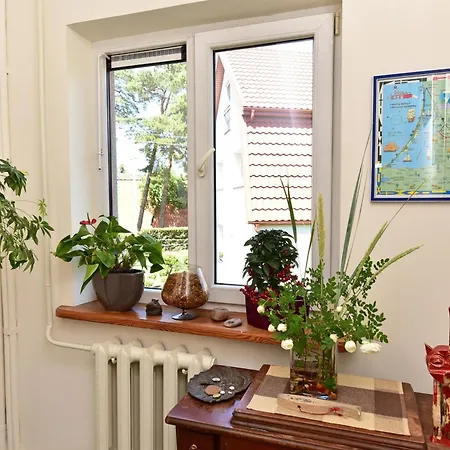 Near The Sea アパート *